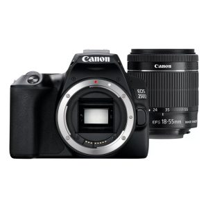 Canon EOS 250D + EF-S 18-55mm f/4-5.6 IS STM SLR Camera Kit 24.1 MP CMOS 6000 x 4000 pixels Black